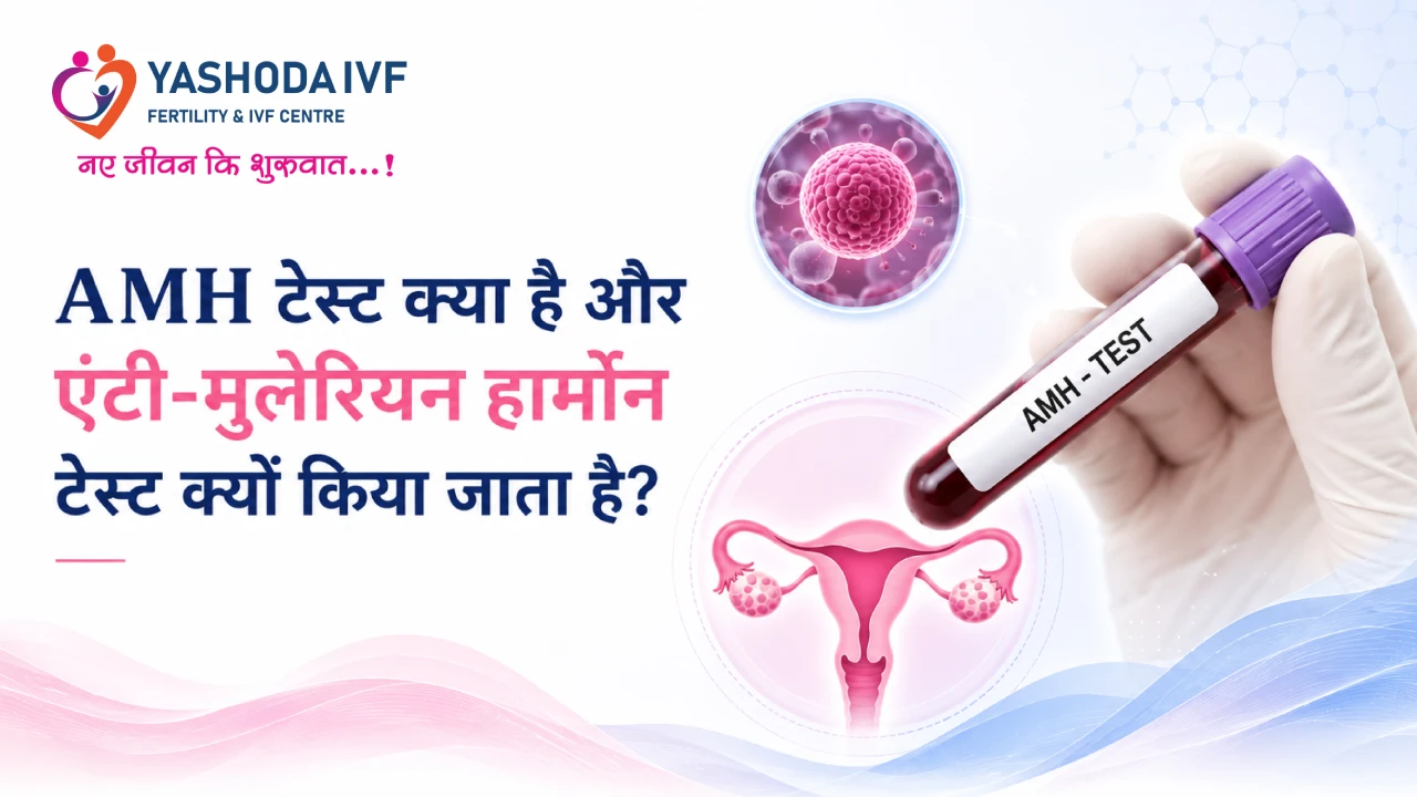 AMH Test Kya Hai Aur Anti-Müllerian Hormone (AMH) Test Kyon Kiya Jata Hai? image