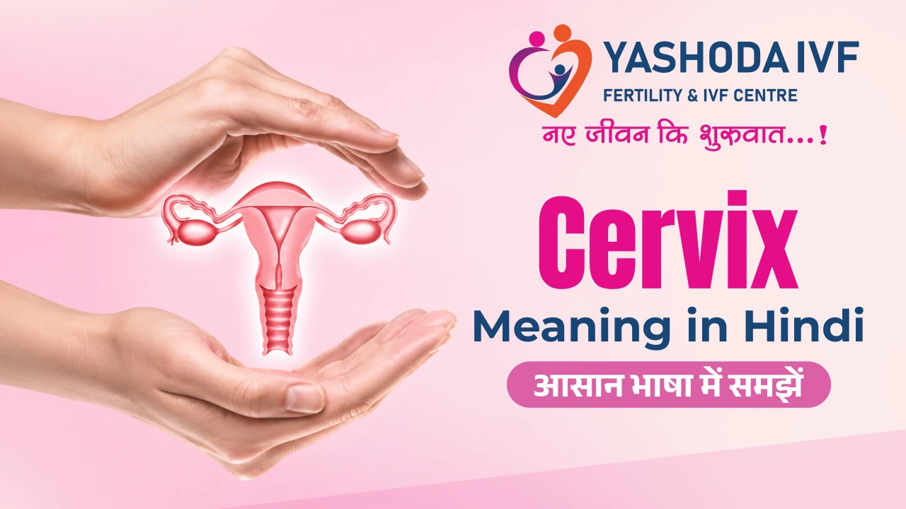 cervix meaning in hindi, cervix ko hindi me kya kehte hai? image