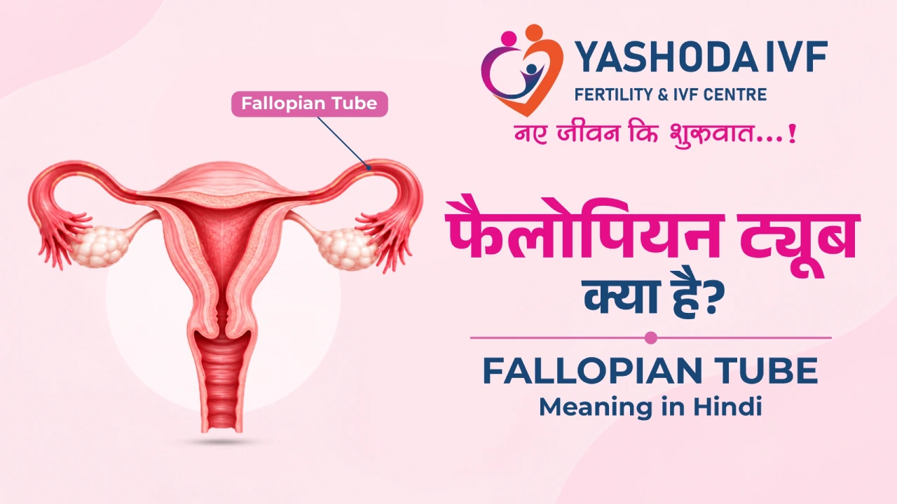 Fallopian Tube Meaning in Hindi: फैलोपियन ट्यूब क्या है?