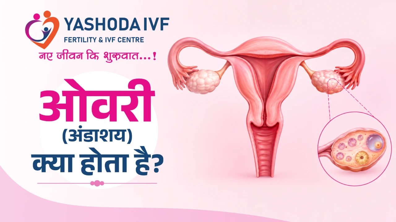 Ovary Meaning in Hindi | Ovary ka matlab kya hota hai?