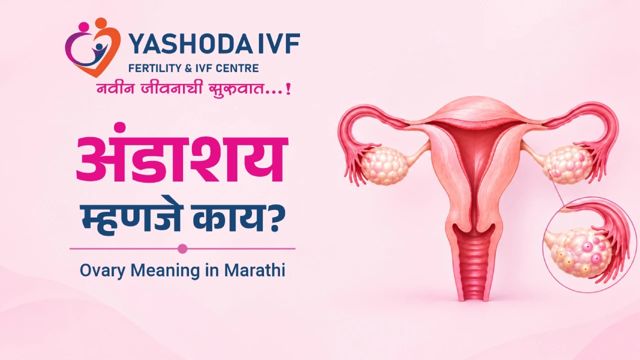 Ovary Meaning in Marathi image from yashoda ivf