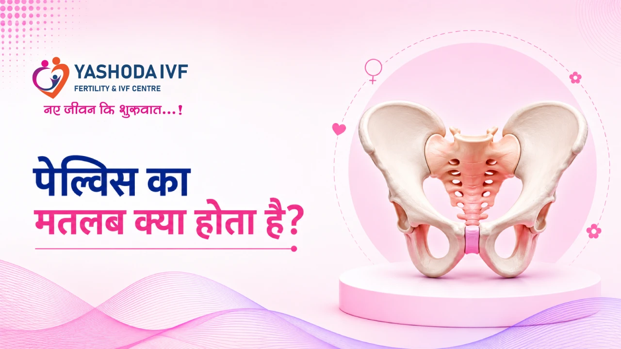 Pelvis Meaning in Hindi Image