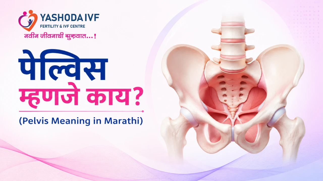 Pelvis Meaning in Marathi – Pelvischi Mahiti, Samasya ani Upay image