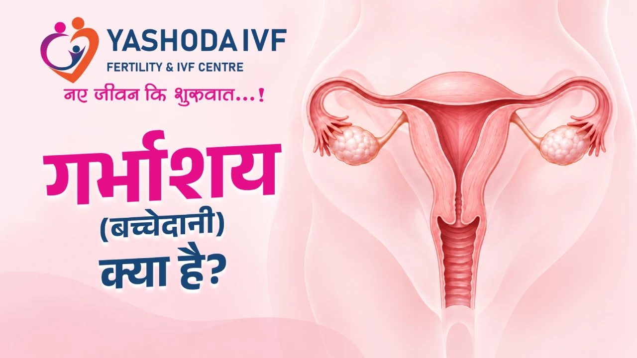 Uterus Meaning in Hindi: गर्भाशय (बच्चेदानी) क्या है? image