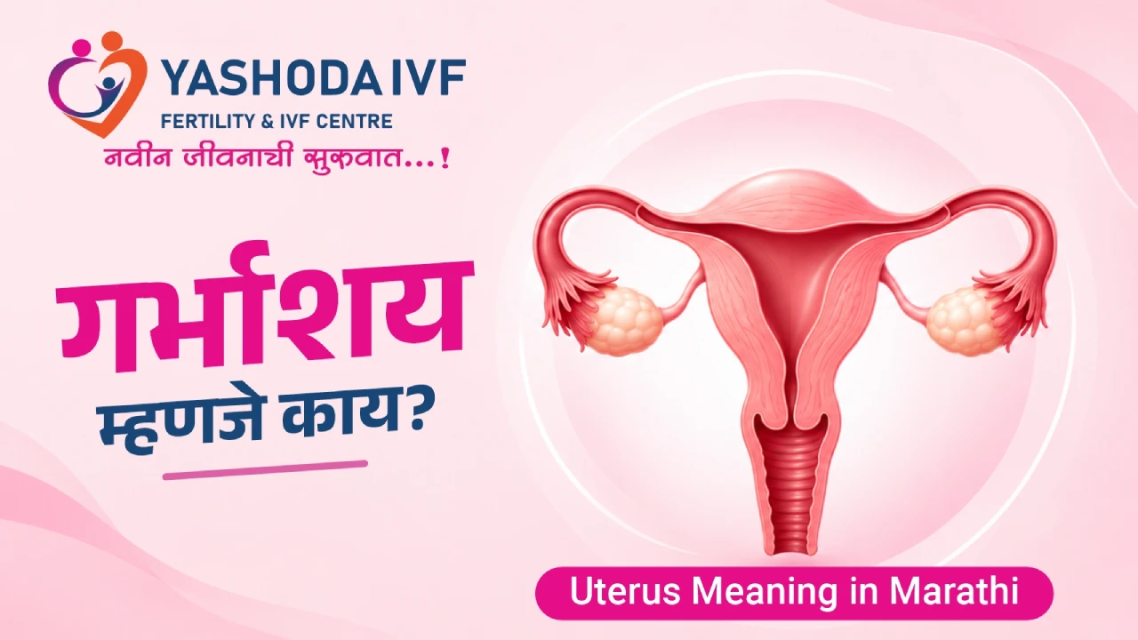 Uterus Meaning in Marathi: गर्भाशय म्हणजे काय?