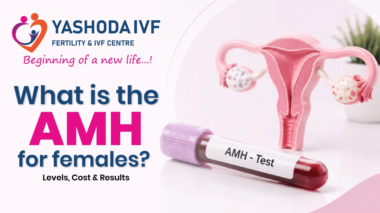 What is the AMH Test for  females? yashoda ivf blog